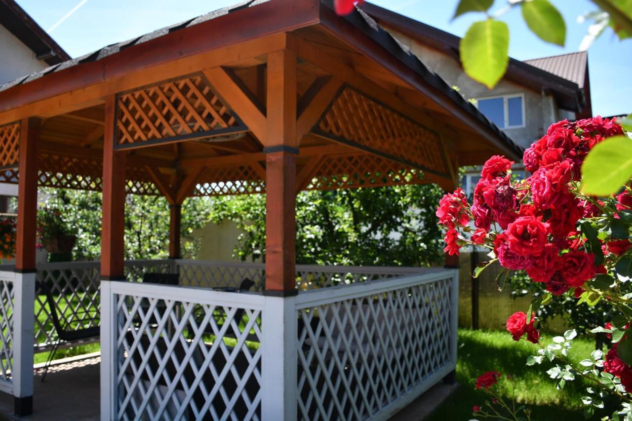 Pensiunea Clasic Pestisu Mare Exterior foto